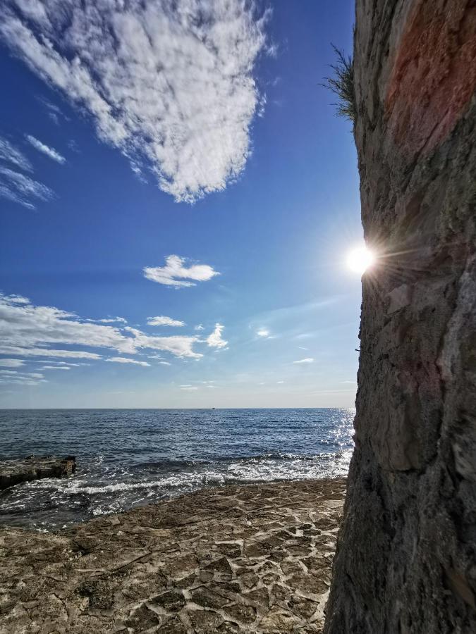 Aria Deluxe Superior 5 Star Apartment, Your Piece Of Heaven By The Sea & Park, With Sea & Park View Novigrad Istria Exteriör bild